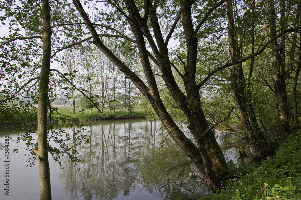 Flusslandschaft