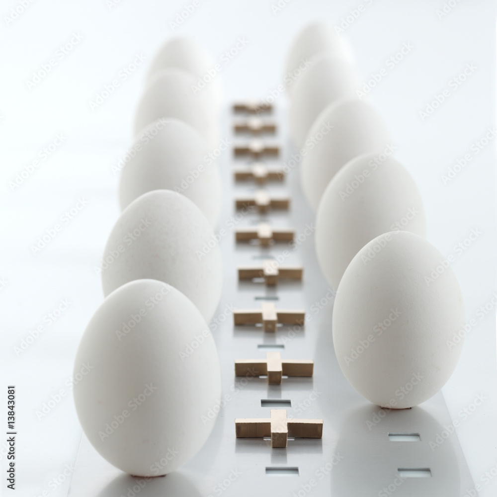 Eier_Huehnereier_weiss Eier_Huehnereier_weiss