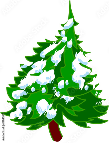 Albero