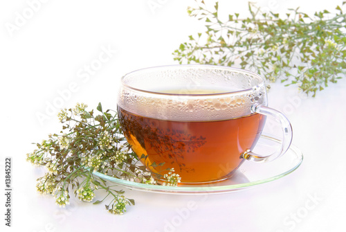 Tee Hirtentäschel - tea shepherds purse 02