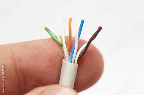 Network cable