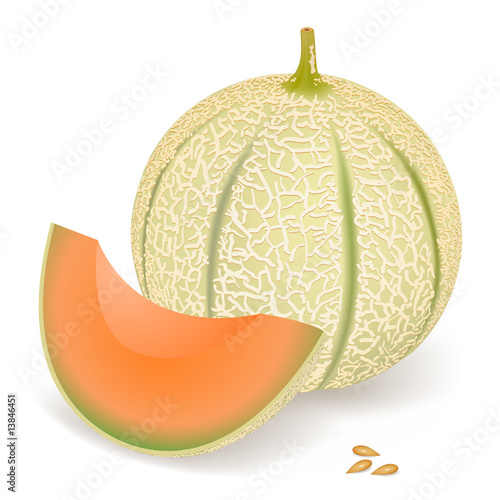Obraz na plátně Melon