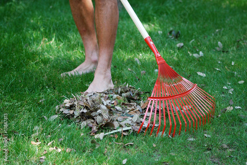 Au jardin - Ratissage des feuilles