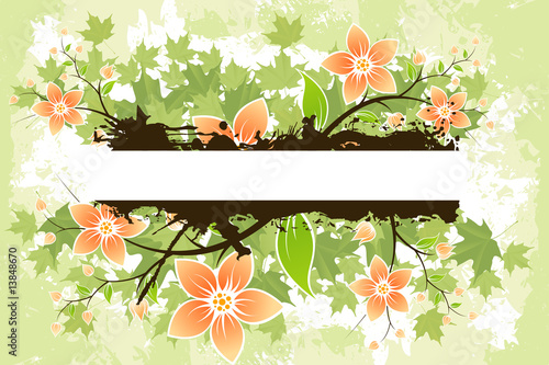 Grunge Flower background photo