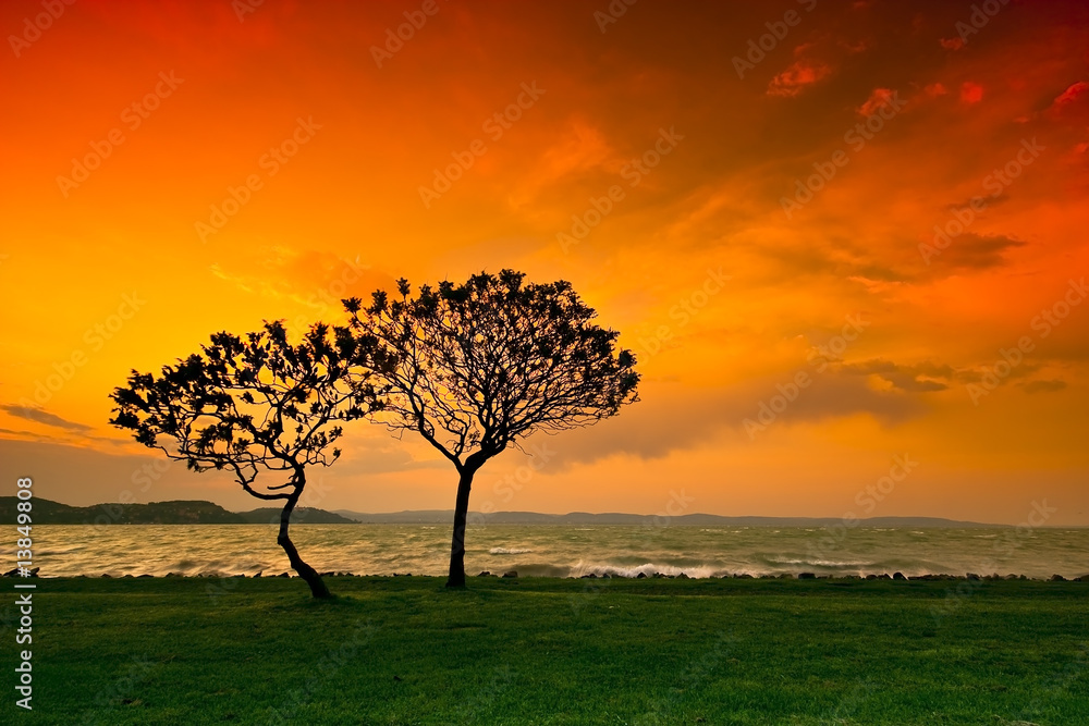 Obraz premium Sunset