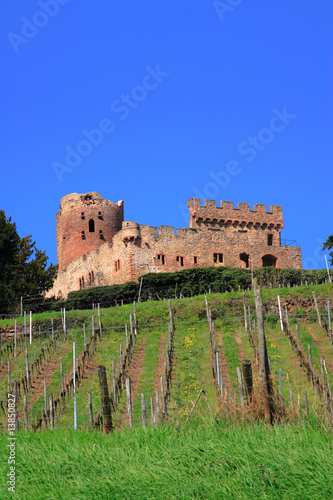 Castle in Alsace photo