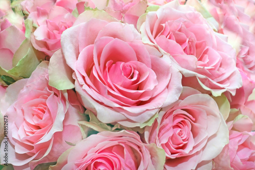 Fresh bouquet of pink roses