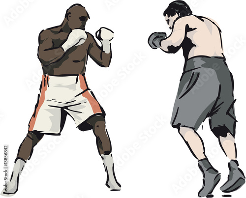 Boxer, Boxen