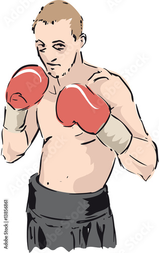 Boxer, Boxen