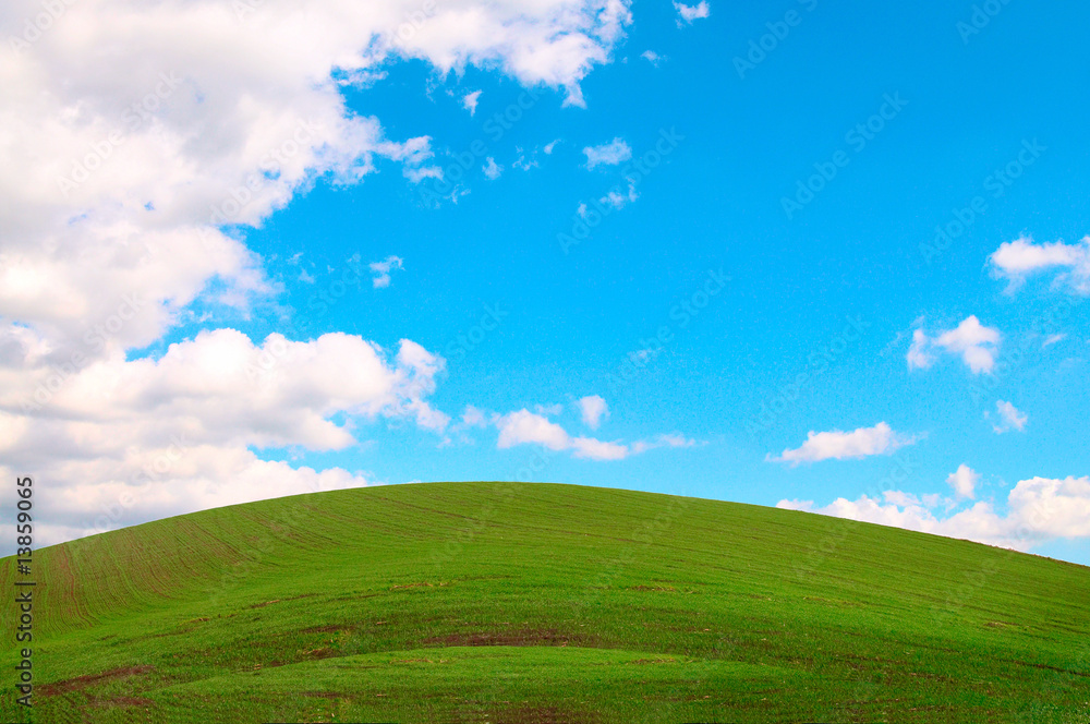 Green field, the blue sky and white clouds