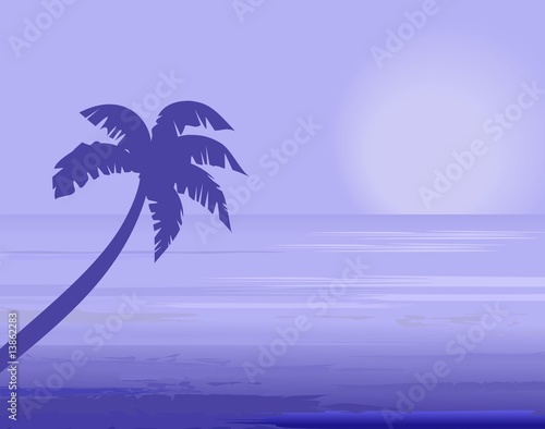 Seascape sunset and palm © Danussa