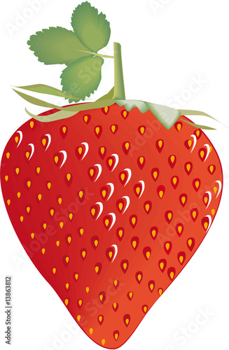 Erdbeeren