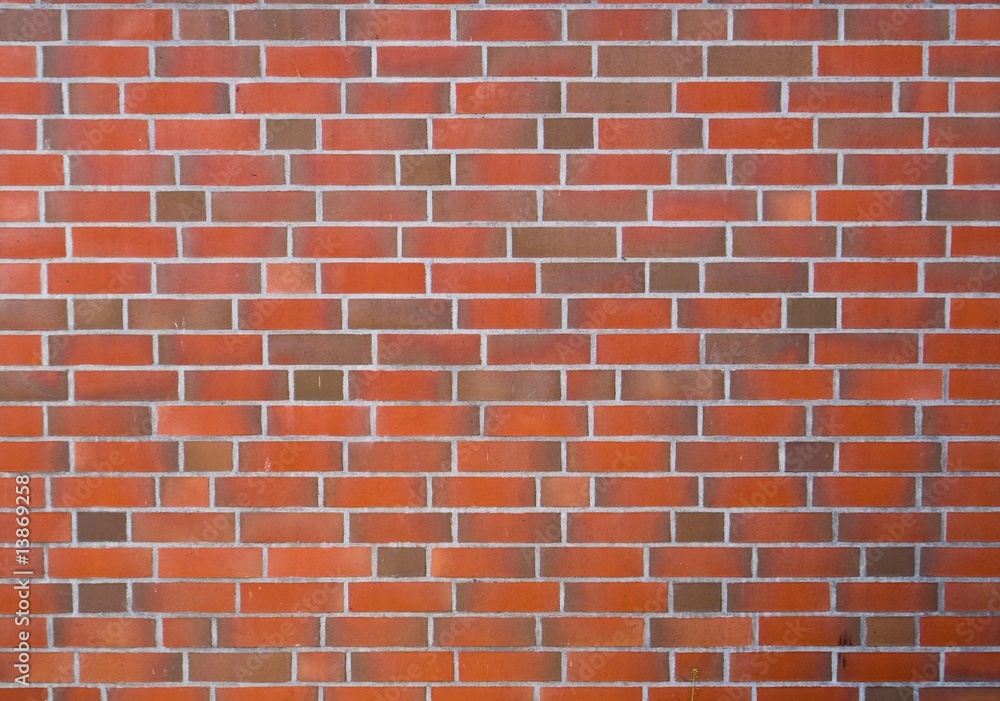 Obraz premium new clear brickwall