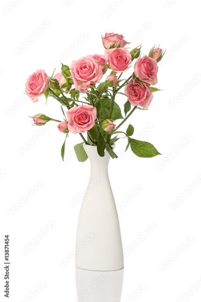White vase with beautiful roses isolated on white