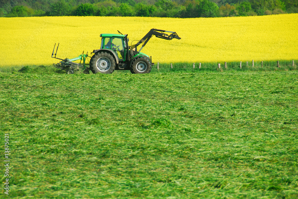 Fototapeta premium Traktor auf dem Feld 216