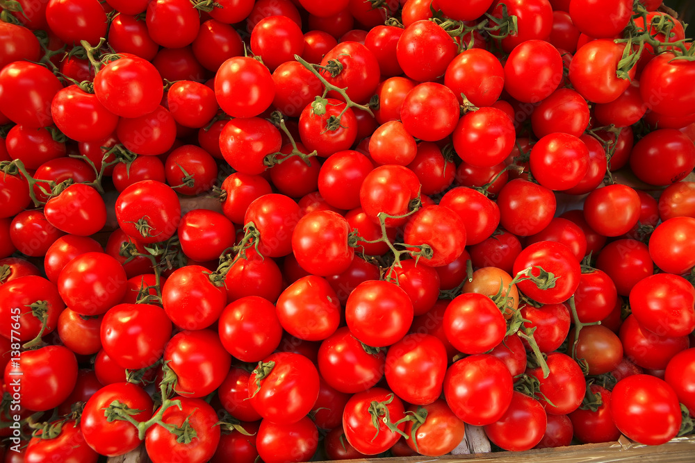 raw tomato heap raw tomato heap