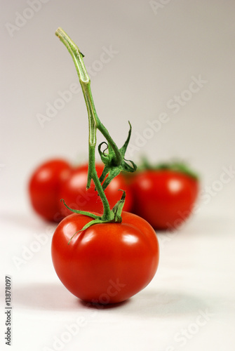 Wallpaper Mural rote tomaten Torontodigital.ca