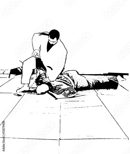 Aikido training