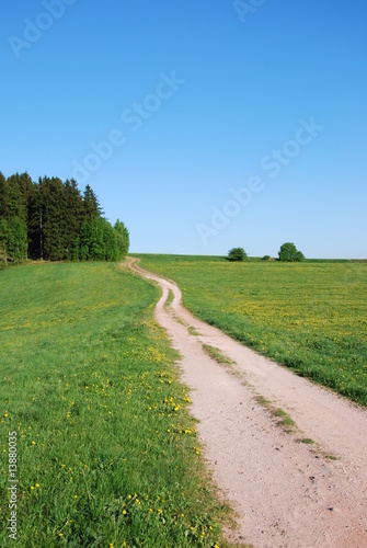 spring footpath