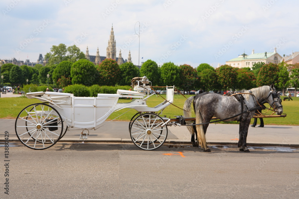 Fototapeta premium wien