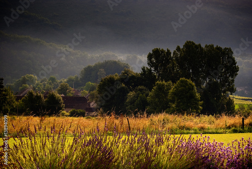 Weinlandschaft in Frankreich photo