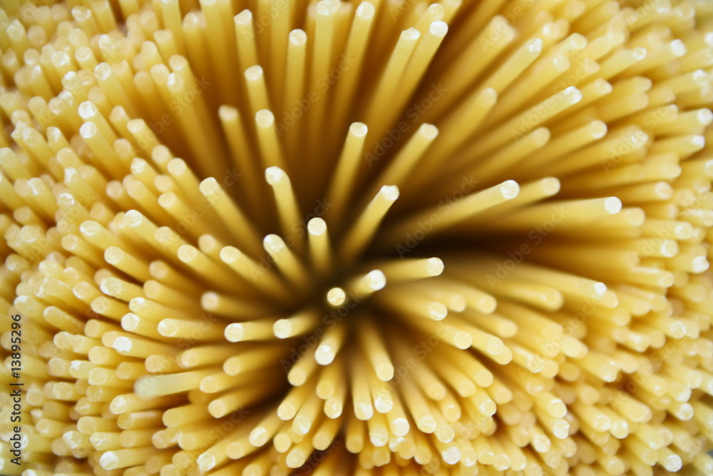 Spaghetti Spaghetti