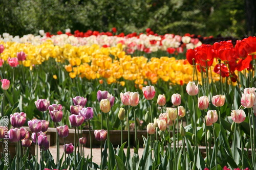 Wallpaper Mural parc floral de vincennes Torontodigital.ca