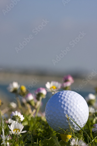 golf ball on a tee