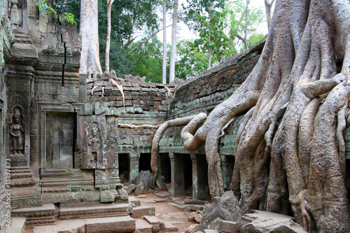 Angkor Preah Khan