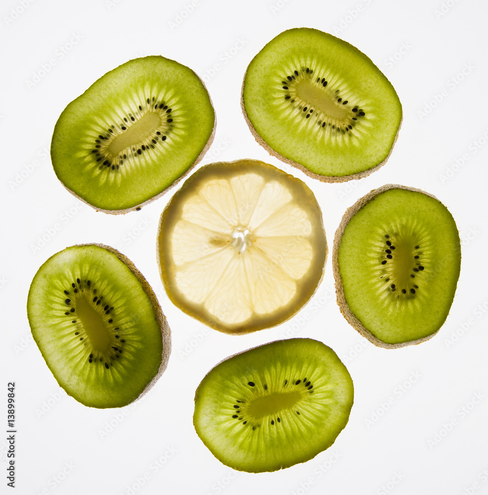 Fototapeta premium Kiwi 1