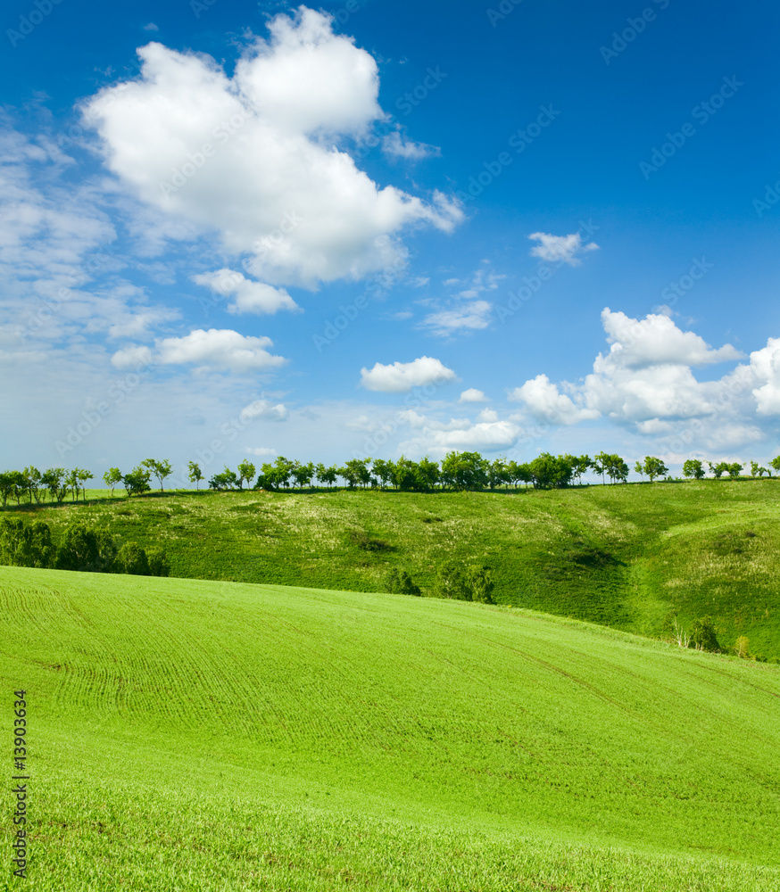 Naklejka premium beautiful spring landscape and cloudy sky
