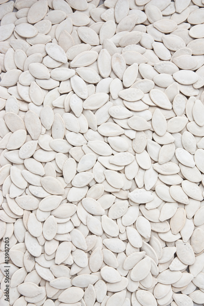Dried pumpkin seeds Dried pumpkin seeds