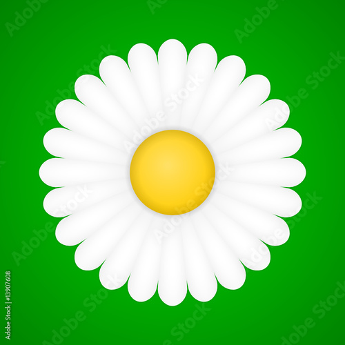 gänseblümchen II