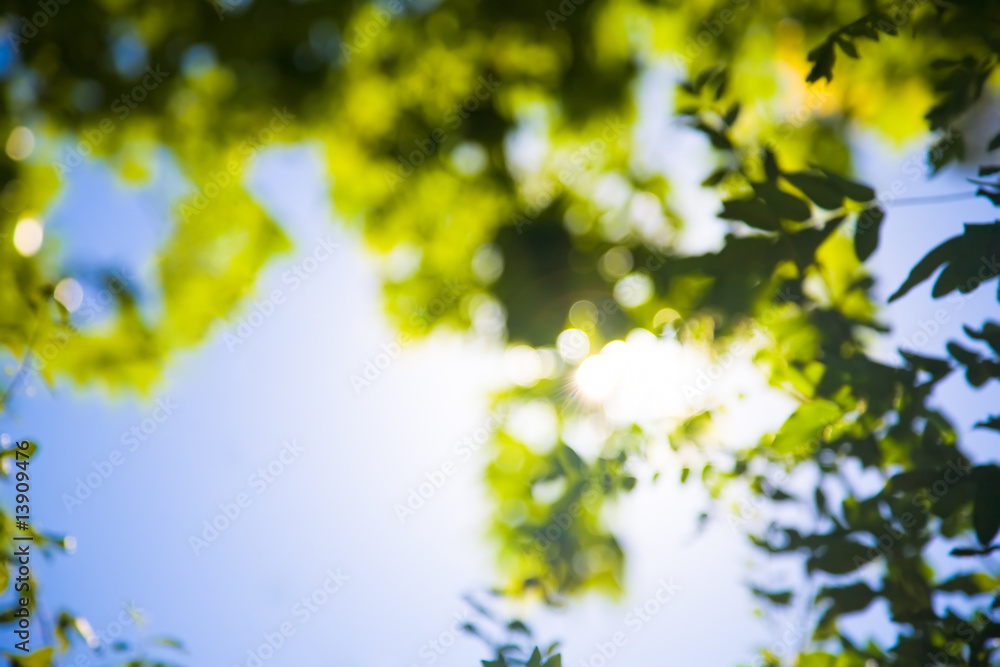 Abstract nature background Abstract nature background