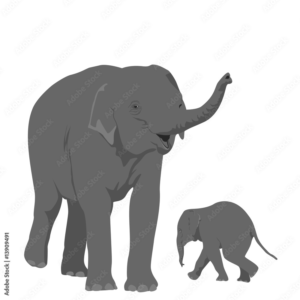 Fototapeta premium elephant mother with her offspring