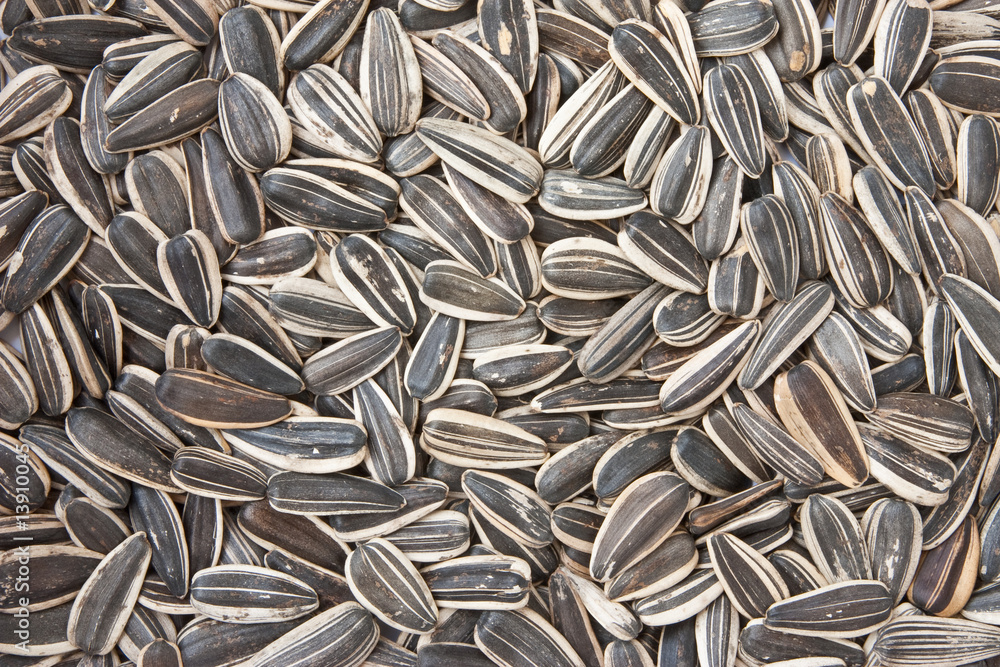 Dried sunflower seeds Dried sunflower seeds