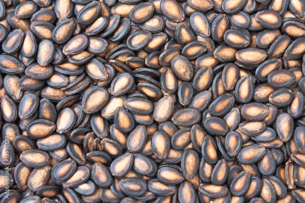 Dried watermelon seeds Stock Photo | Adobe Stock