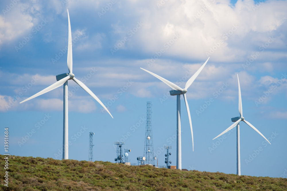 Telecommunications towers and wind turbines
