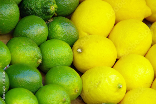 Limone Zitrone - lime citrous 02