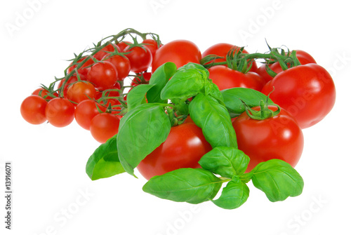 Tomate und Basilikum - tomato and basil 06