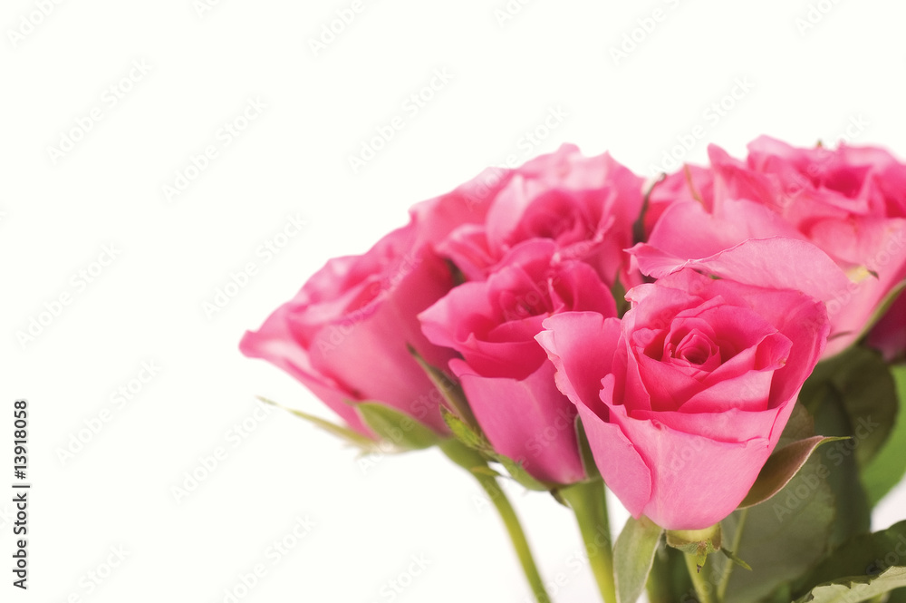 Pink roses bouquet Pink roses bouquet