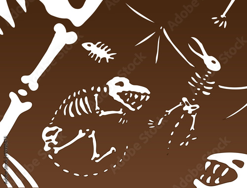 Dinosaur Fossils