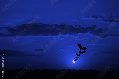 halloween background, flying bats