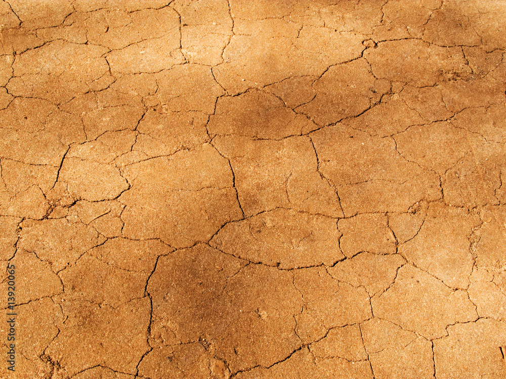Dry soil texture