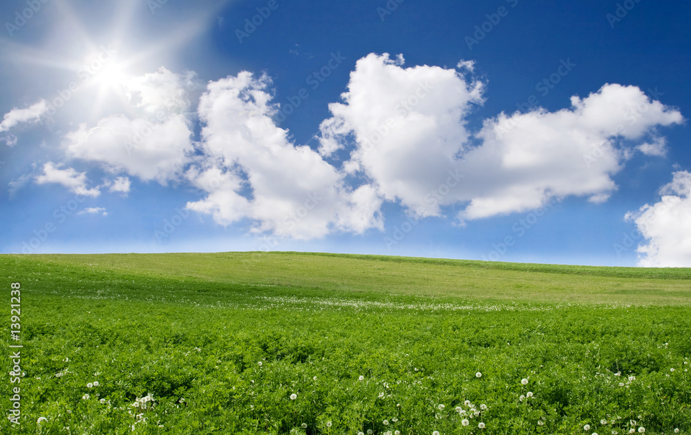 Blue sky and green field Blue sky and green field