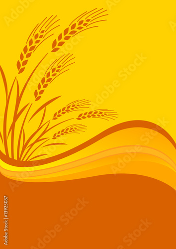 background with cereal crop