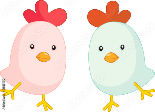 baby chicks