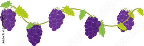grapes