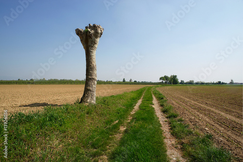 campagna photo