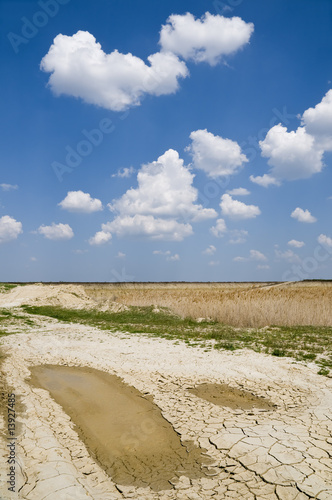 Marsh land